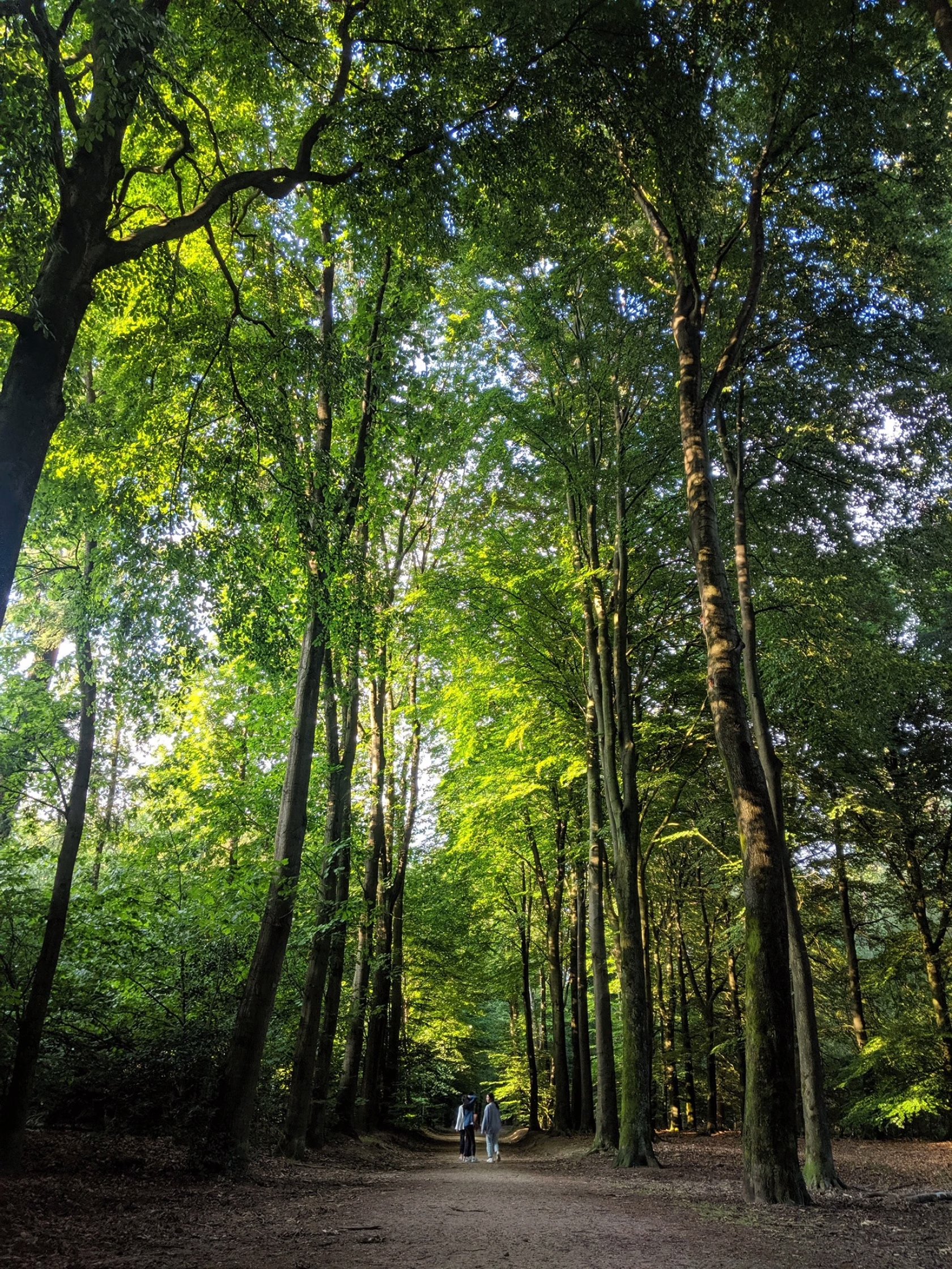 Succesvol een congres organiseren op de Veluwe